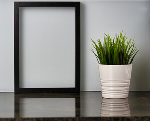 Empty frame with white background / wall with plant