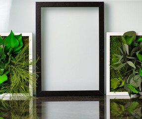empty frame and plants, leaves and flowers