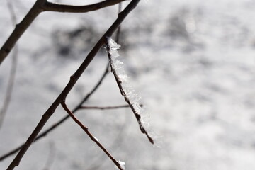 Winterlandschaft