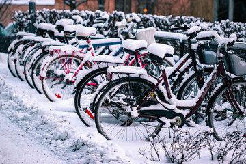 Many bikes standing outside with snow on them in winter