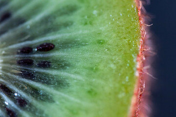 Kiwi fruit cutted. Healthy fruit kiwi cut for healthy fruit based nutrition. Green fruit with seeds, healthy and fresh diet for summer
