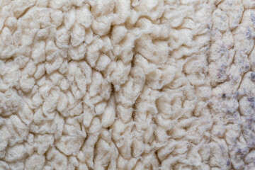 White Fur Close up Background