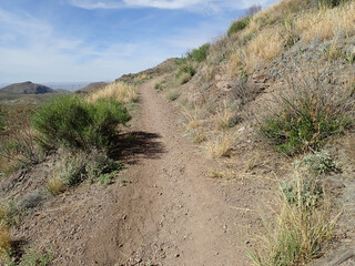 Path through the Texas Desert