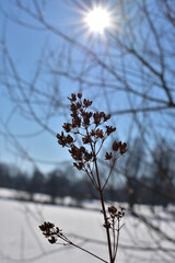 Winterlandschaft