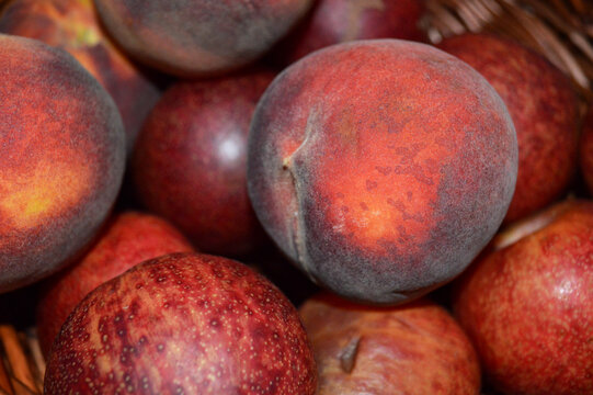 peaches and plums in basket 