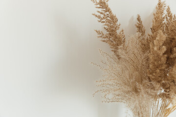Obraz premium Reeds foliage branches bouquet on white background. Flat lay, top view floral design.