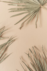 Dry tropical exotic palm leaves on pale pastel peachy background. Flat lay, top view minimalist...