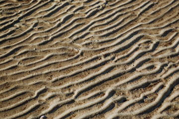 Ripples in sand on the shore