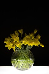 Żółte kwiaty żonkile w szklanym wazonie - obrazy, fototapety, plakaty