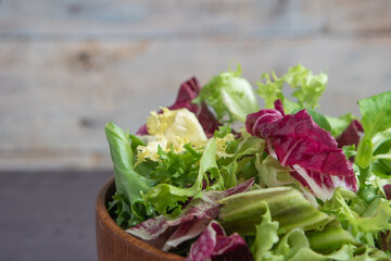 Salad background, freshness green salad leaves of frisee, romaine salad, radicchio, food banner