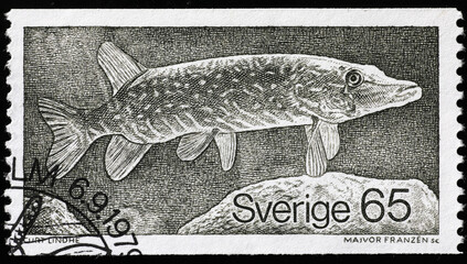Northern pike on swedish postage stamp