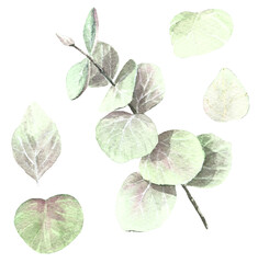 hand drawn watercolor leaves isolated on white 