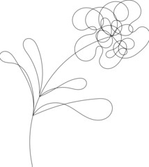 modern flowers, flowers and sketch with line art, vector graphic, wedding design for t-shirts, bags, for posters, greeting cards, isolated on white background