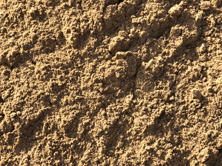 texture of the sand