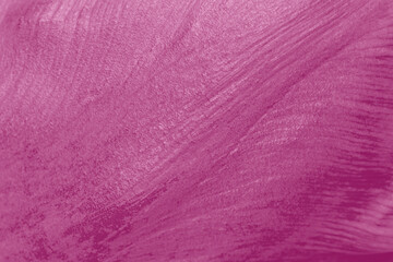 Fototapeta premium macro photo of petal of purple tulip flower