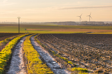 Paysage de campagne, chemin dans les champs