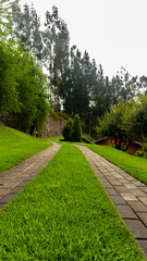 road in the park in Cusco