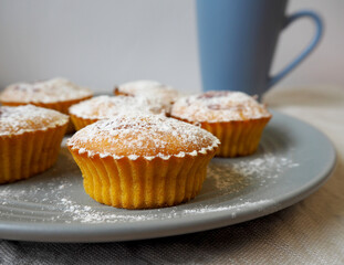 five round pumpkin muffins sprinkled with powdered sugar lie on a gray round plate against a blue mug on a gray tablecloth side view