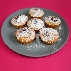 close up six round pumpkin muffins sprinkled with powdered sugar lie on a gray round plate on a pink background side view . homemade cakes