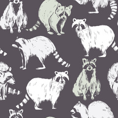 Raccoons. Vector  pattern