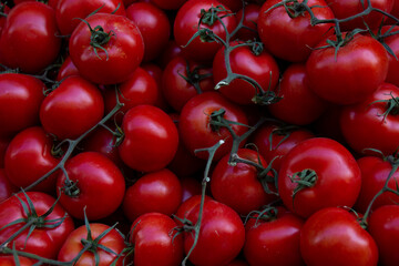 Colorful tomatoes in a spanish food market