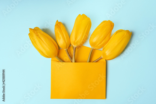 Top view of yellow tulips in envelope on blue background. Valentine's, mother's day or spring mockup with white card