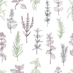 Spicy herbs.  Vector pattern