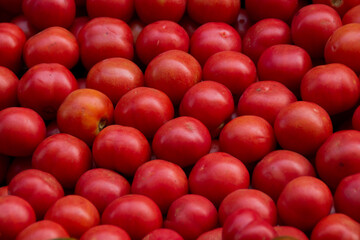 A lot of colorful and healthy tomatoes in a street market