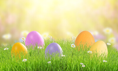 Easter colorful card with eggs in grass