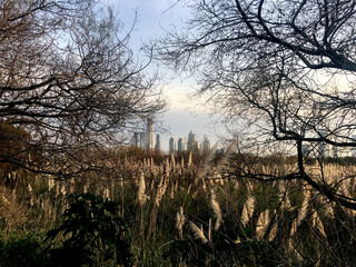 Plumero porte&ntilde;o