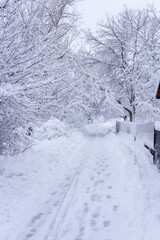 Sidewalk path covered in heavy snow in Boulder Colorado ice storm