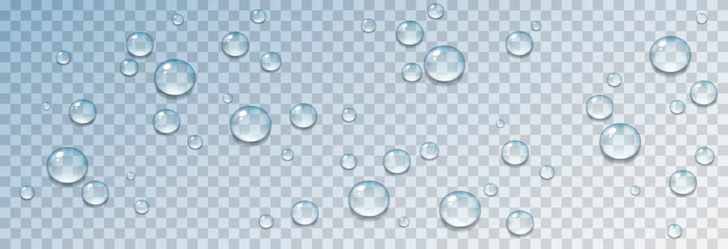 1 264 Best Rain Drops Png Images Stock Photos Vectors Adobe Stock 1 264 Best Rain Drops Png Images Stock Photos Vectors Adobe Stock