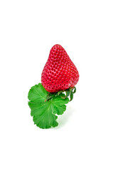 Strawberry, Garden fresh Strawberry with drops full depth of field.