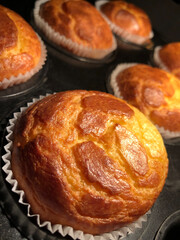 Delicious home made muffins, sweet or salty dough like cake from bakery oven