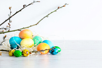Easter painted colorful eggs in nest with willow branches, spring, easter concept on white background with copy space