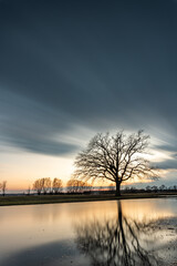 sunrise over the backwaters