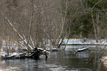 winter view of small river, winter landscape with forest river