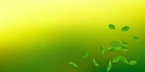 Falling green leaves. Fresh tea neat leaves flying