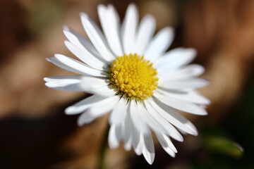 Printemps en vue !