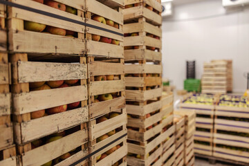 Fruits in crates ready for shipping. Cold storage interior.