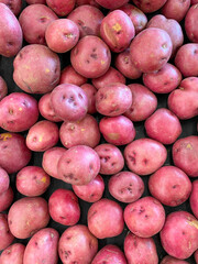 red potato pile at farmers market fresh potatoes organic vegetable food background