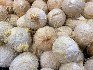 white coconut display hairy coconuts at farmers market fresh produce organic vegetable food background