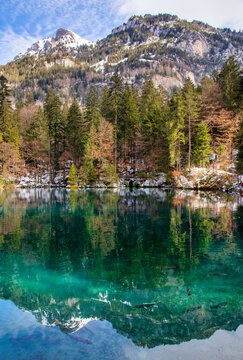 Mountain and forest reflections in Blausee lake, Kander Valley, Bernese Oberland, Switzerland