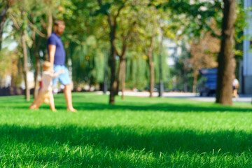 Fototapeta premium people walking and children playing in a city park on a summer day, green lawns with grass and trees, paths and benches, bright sunlight and shadows