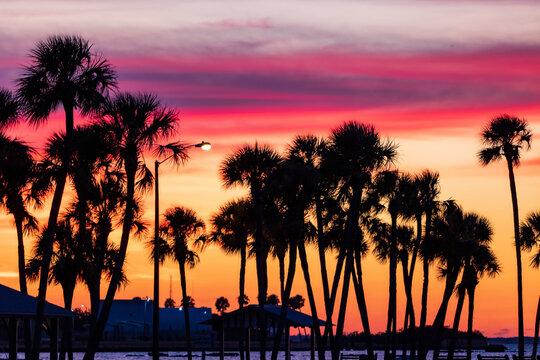 View of palms during a colorful sunset in a beach