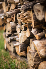 Wood Pile