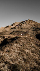 landscape in the desert