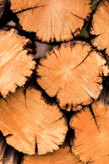 Naklejka premium Wood Pile