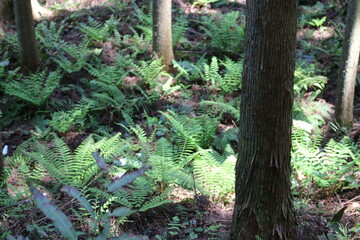 新しく芽吹く命