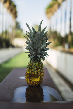 Halloween Pineapple With A Scary Face On A Bench With Palm Trees In The Background